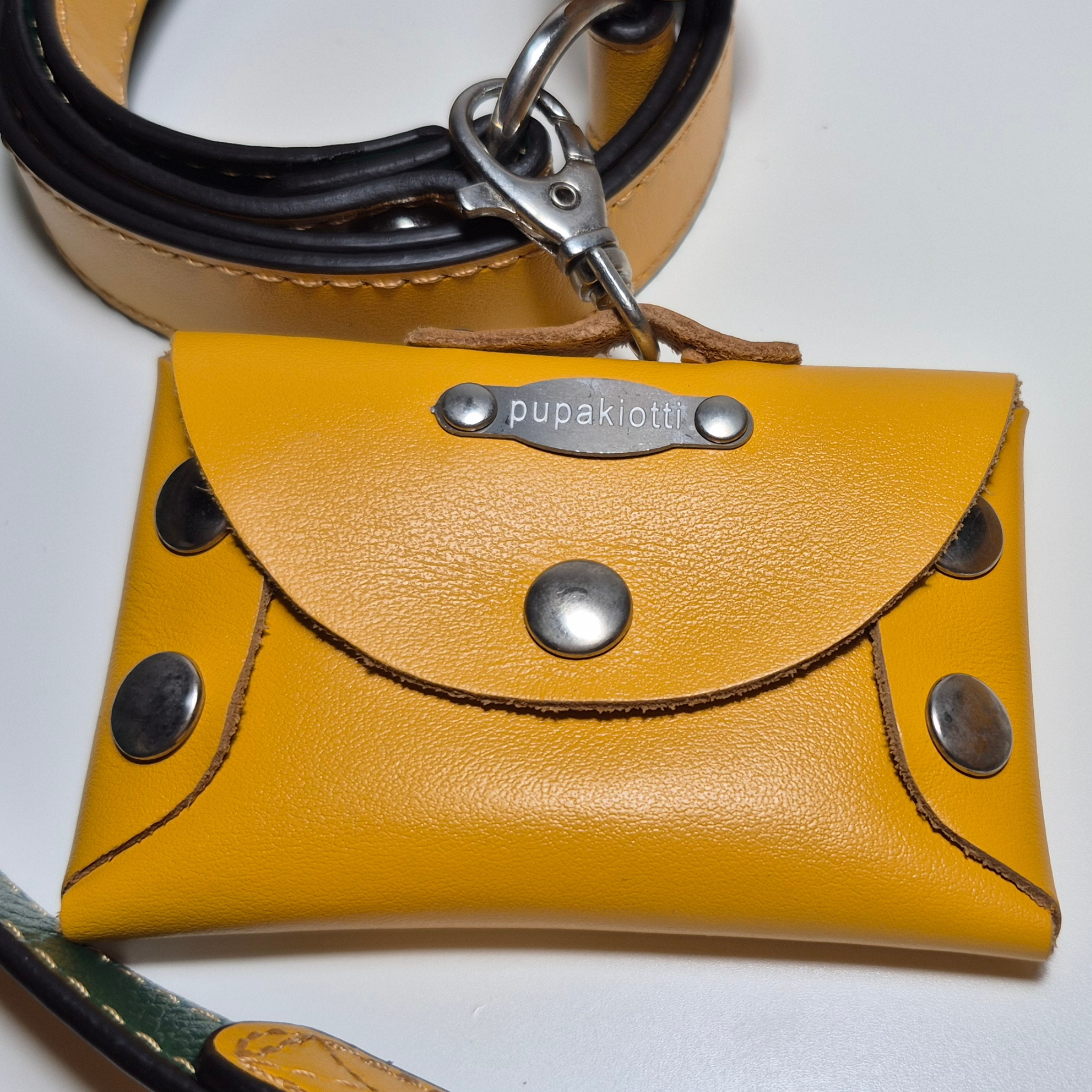 Set Pettorina e Guinzaglio in Pelle con Porta Sacchetti